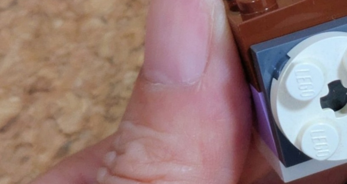 令和生まれ5歳の息子に「レゴ何作ったの？」と尋ねたら……「なぜ知っているんだ？」　母困惑の作品に「前世の記憶かも」（1/3） | ホビー ねとらぼ