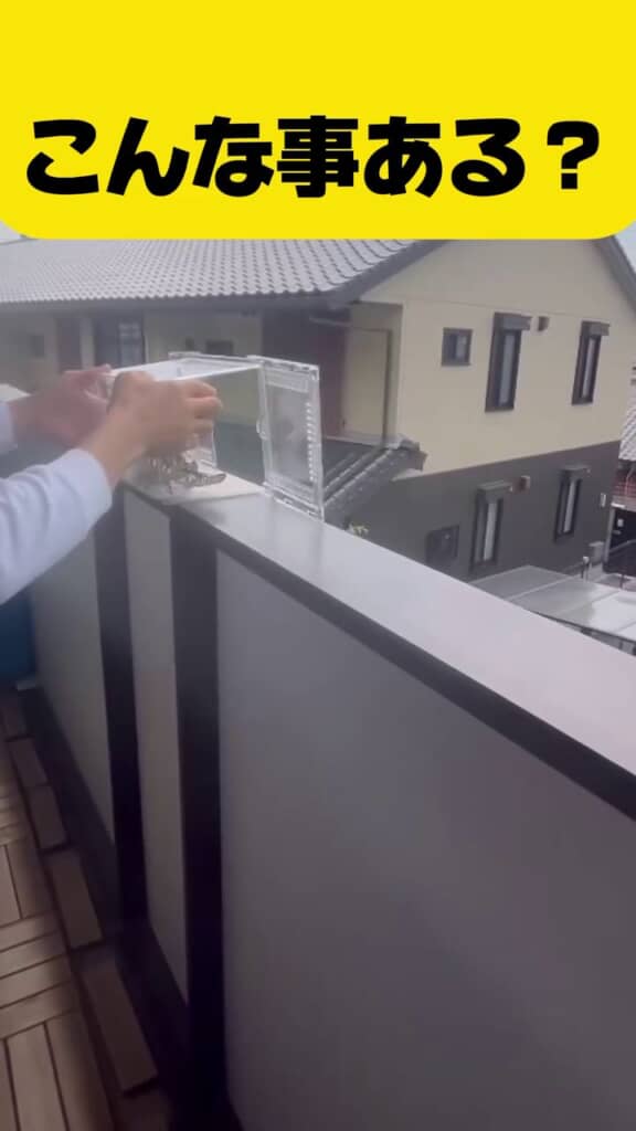 屋外でフタを外された飼育箱