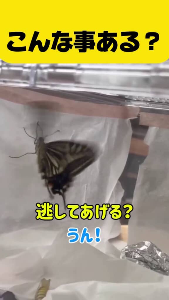 子どもに逃がすことを説明する母親