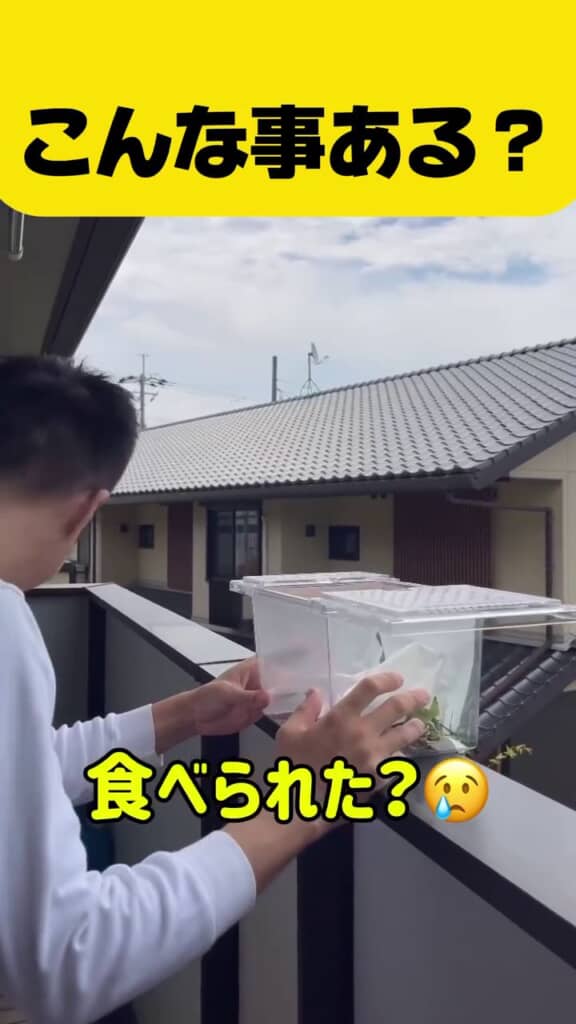 目の前で早々に食べられたことであ然のしてしまう撮影者たち