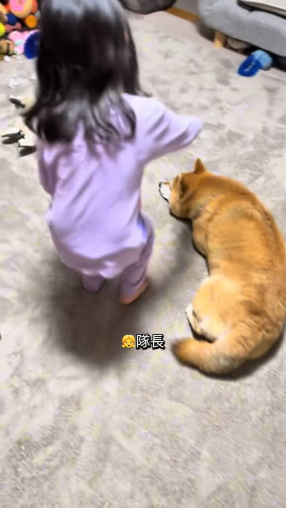 なでようとするお孫さん