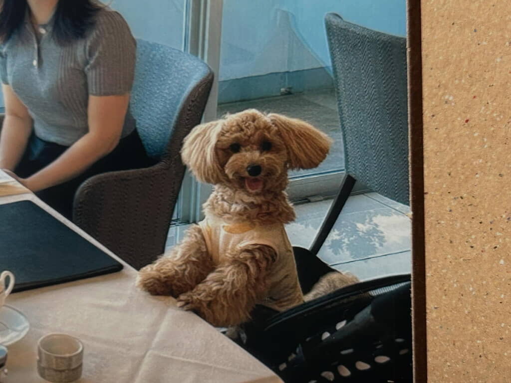 う、うれしそう～！