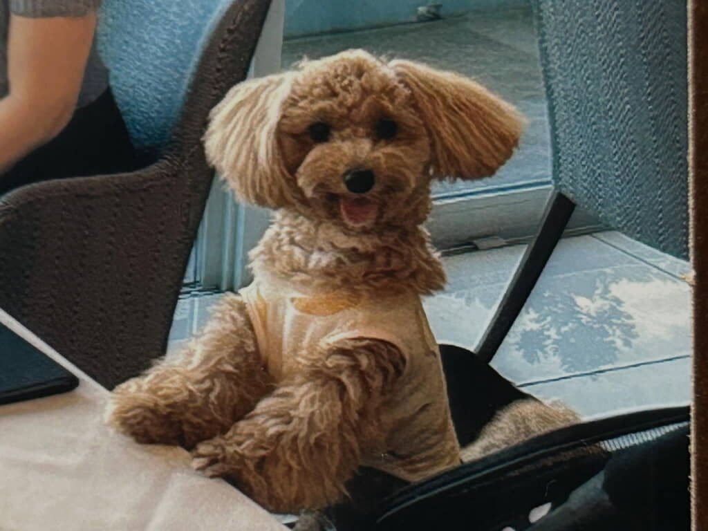 すっごい笑顔！