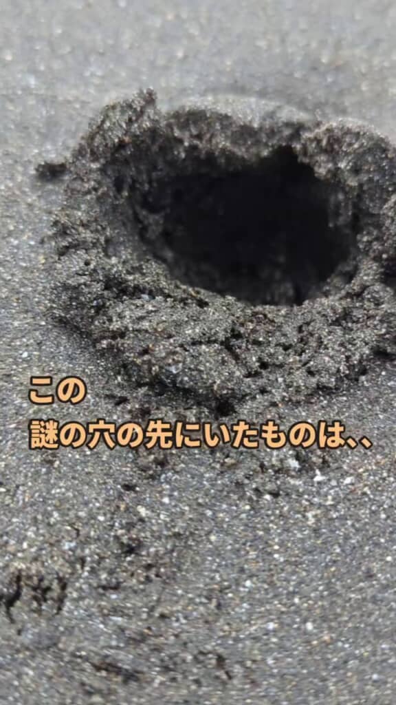 砂浜で見つけた謎の穴