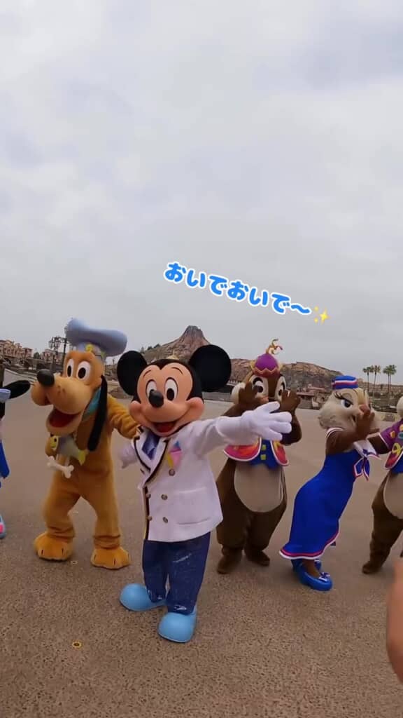 「おいでおいで～」