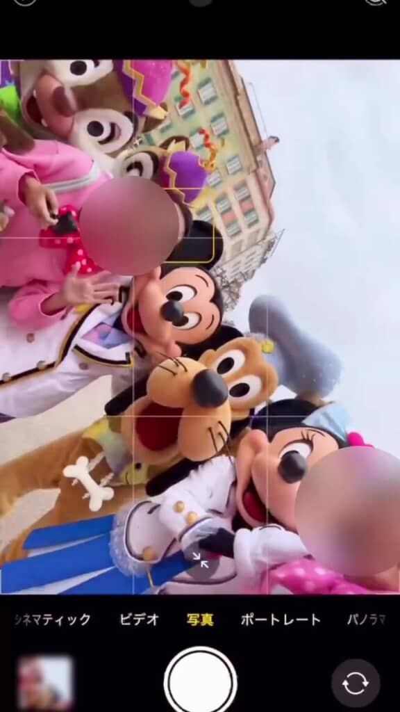 夢中で撮影しました