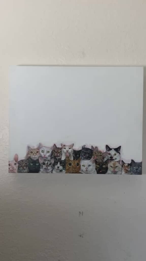 どんどん増えて……