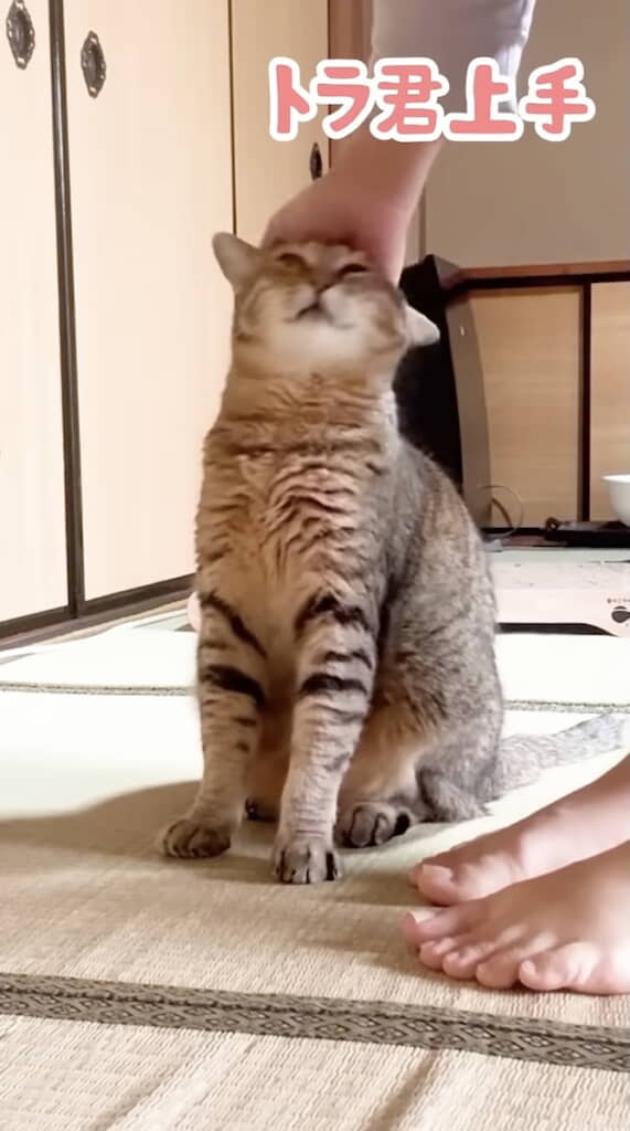 「上手！」とほめられて……
