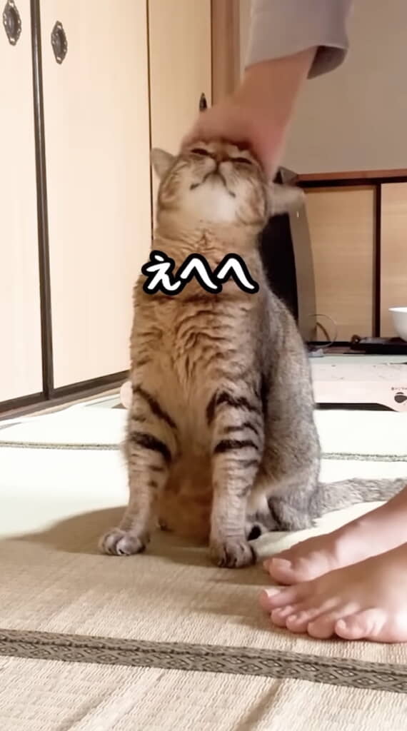 ……ご満悦のトラくん
