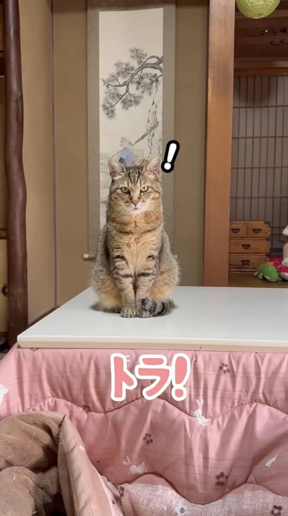 ハッと撮影者を見る
