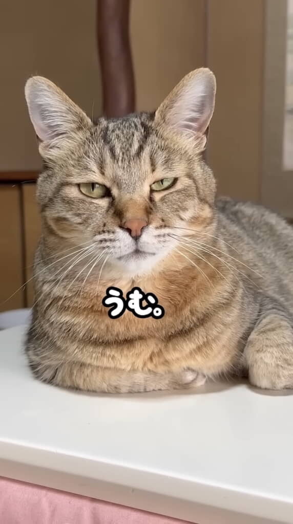 繰り返し「上手」と言われて満足そう
