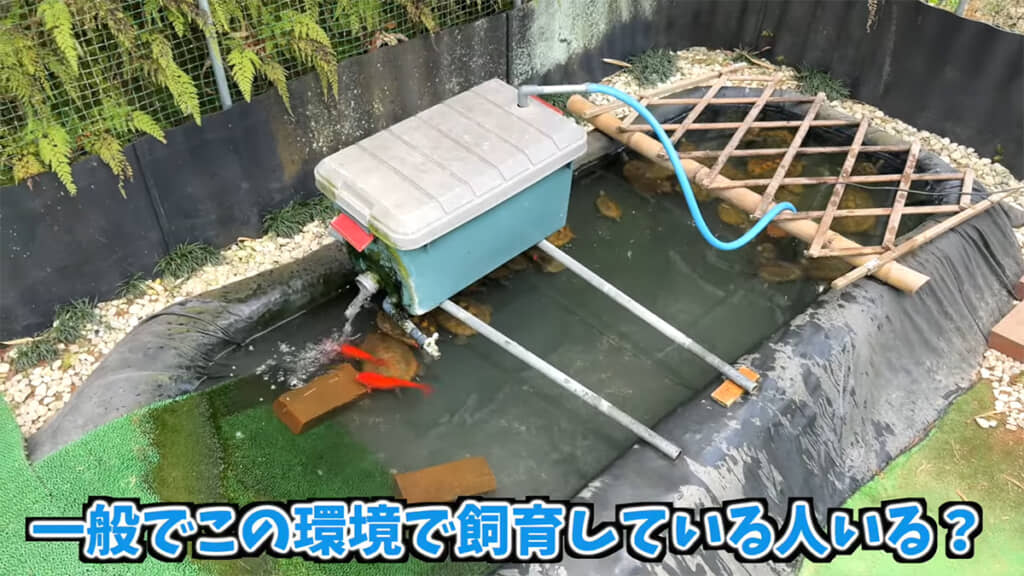 個人でこの環境を整えられるのは本当にすごい……！