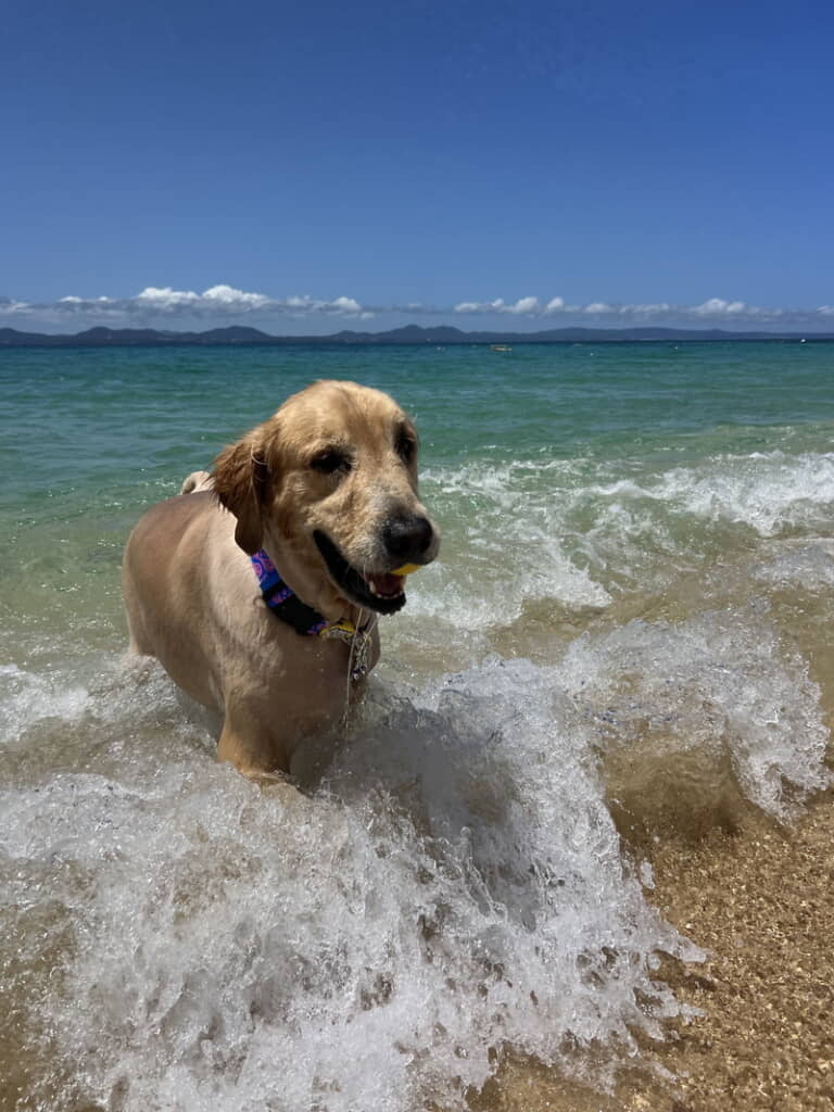 波しぶきを浴びるハリーくん