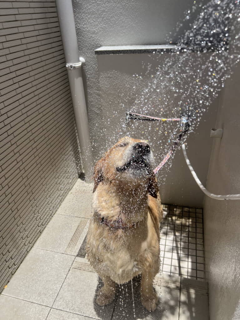 シャワーを浴びる姿もすてき