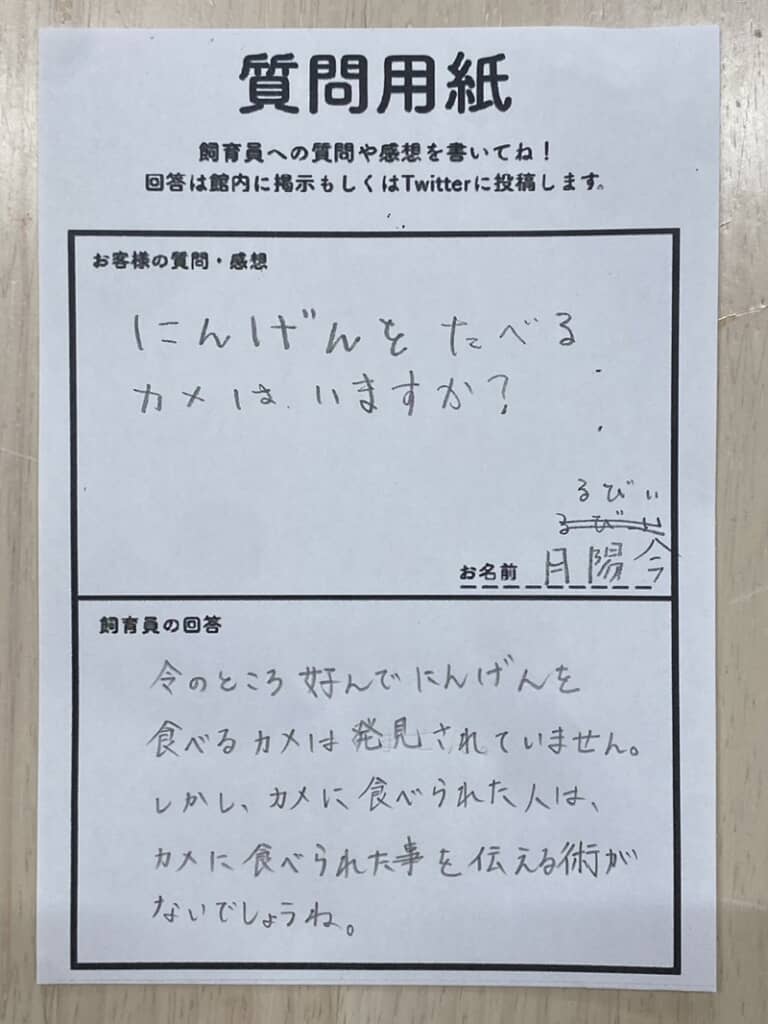 人間を食べるカメはいるかという質問に対する回答