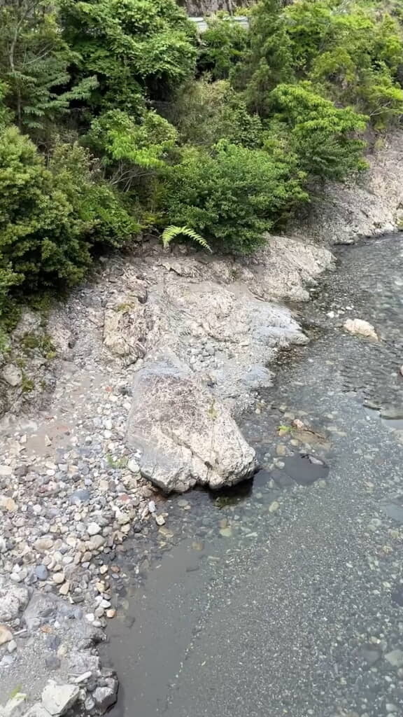 弧を描いて旋回しながらゆっくり落ちていく