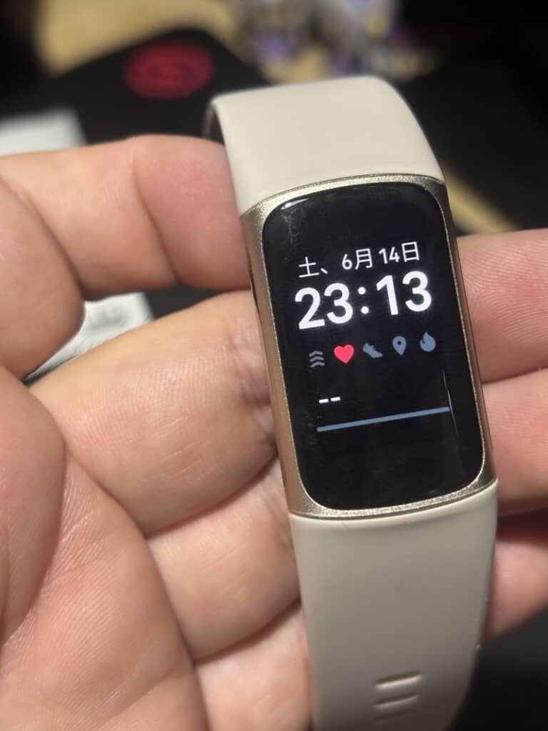 無事に動作するFitbit