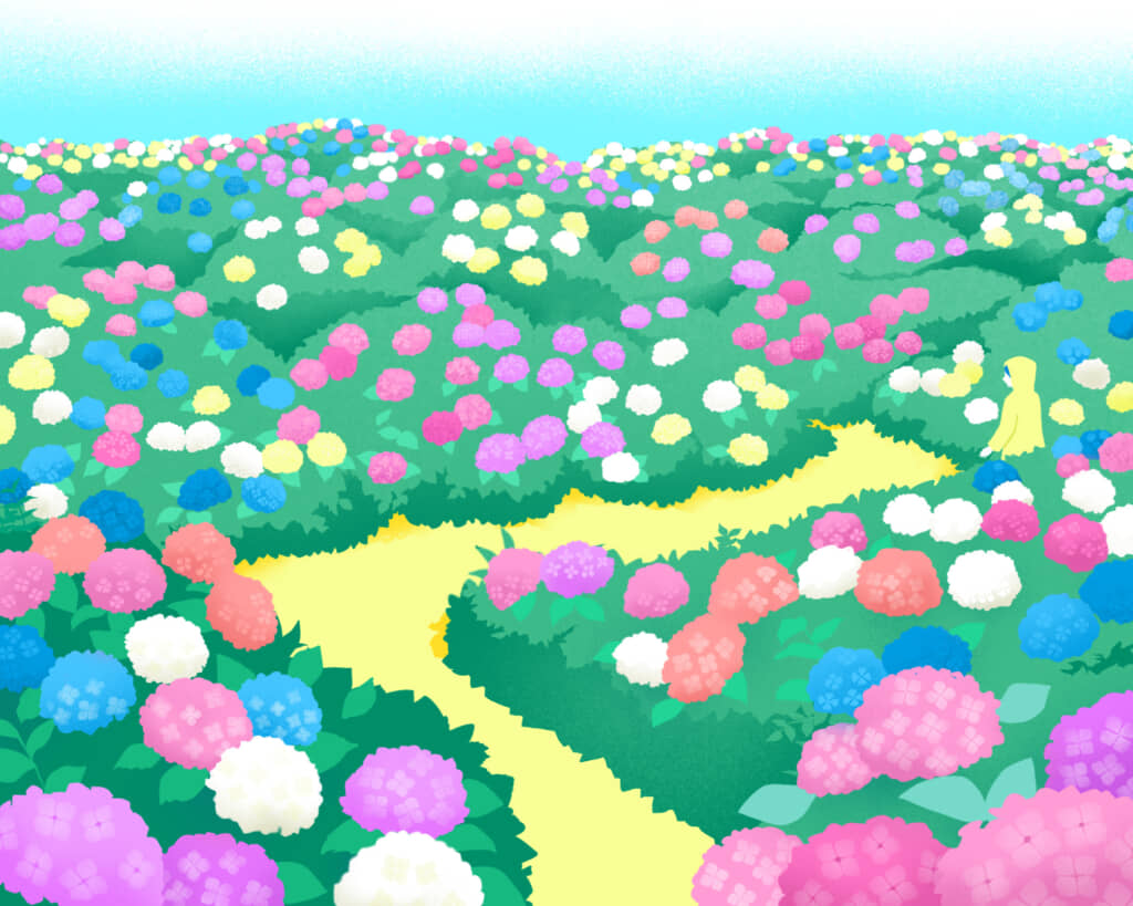 アジサイ畑のイラスト