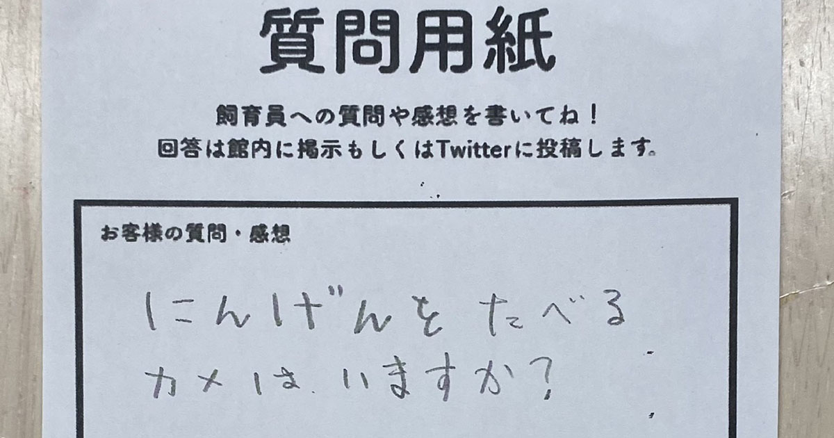 客「人間を食べるカメはいますか？」→飼育員の“分かると背筋が凍る回答”が770万表示　「確かにその通り」「一休さんやん！」（1/3） | その他生き物 ねとらぼ