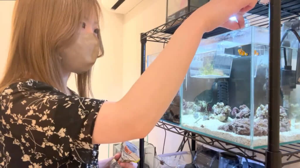 カニや魚たちがいる水槽にエサをあげる投稿主さん