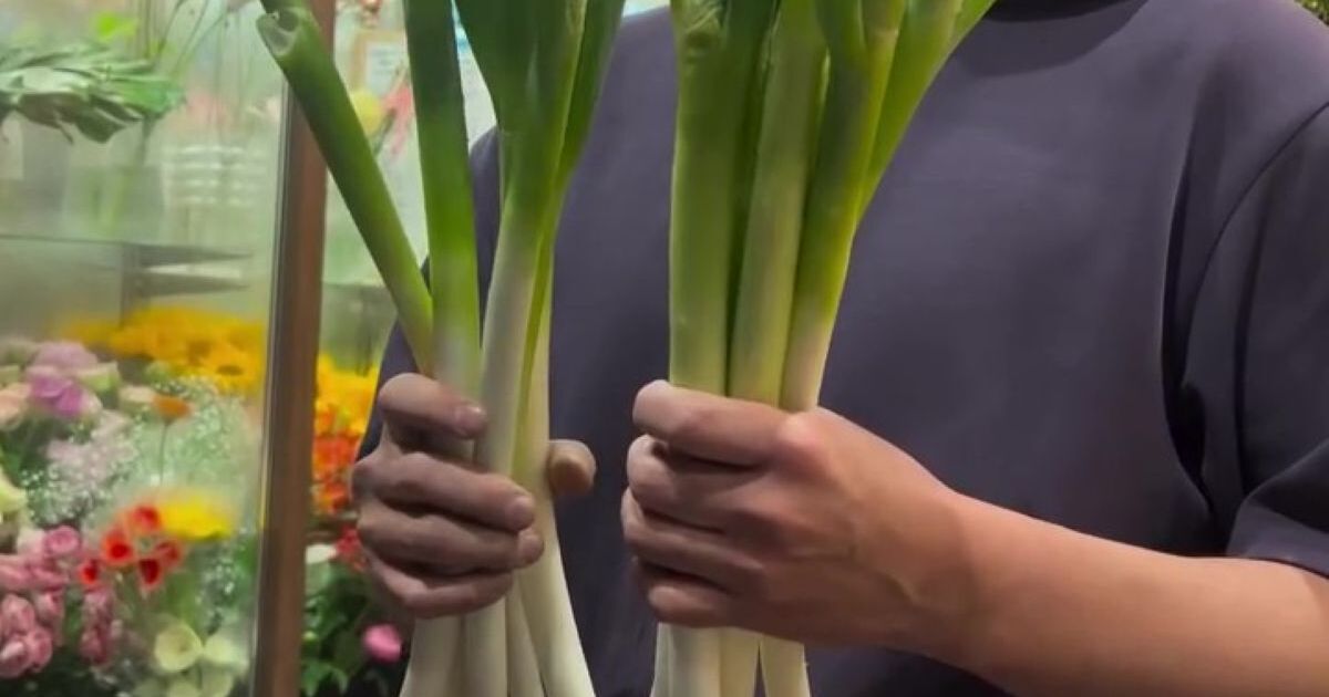 ごくごく普通のネギ→花屋が本気出したら……　完成した“花束”に衝撃「ネギなのに美しい」「もう野菜とは思えない」 | ライフスタイル ねとらぼ