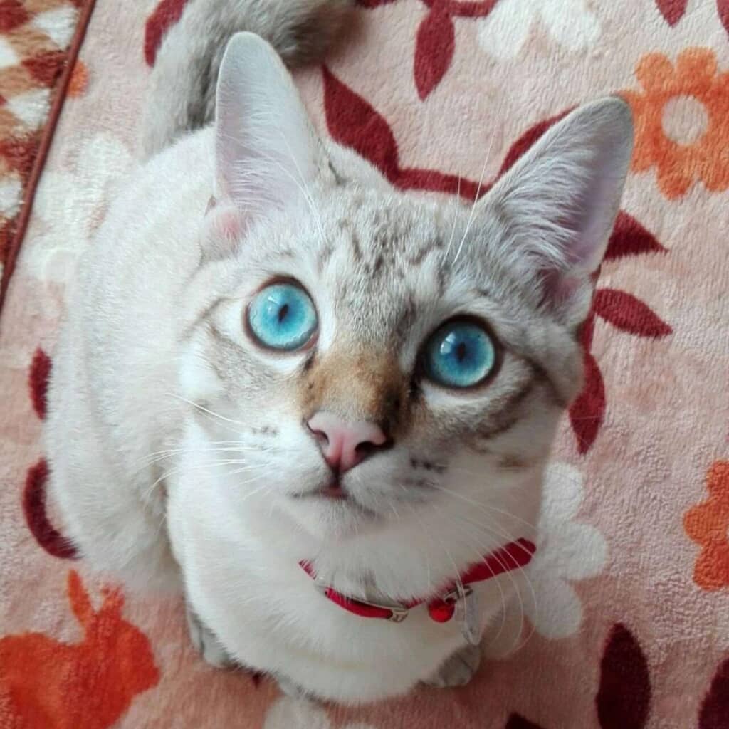 すてきな大人に成長