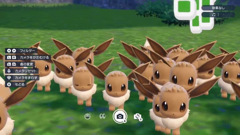 カメラの前にいる大量のイーブイ