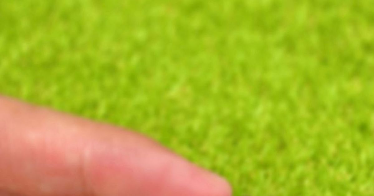 5歳息子「べーこんみたいな石！」→確認すると……　想像以上の見た目にママ爆笑「奇跡だ」と288万表示 | 育児 ねとらぼ