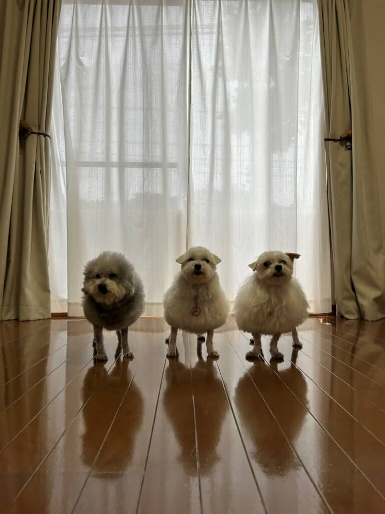 脚が細い！（アフター）