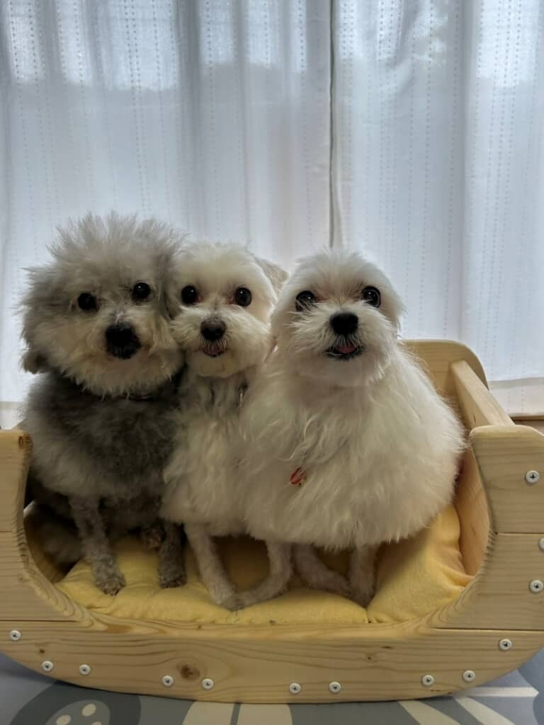 みんないい顔！