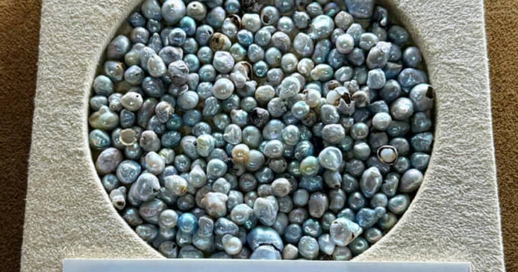 ストレートすぎるネーミングが話題