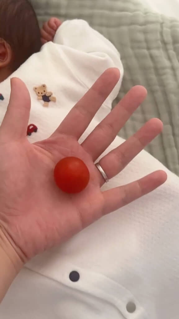 あんなに大きく見えたのに！