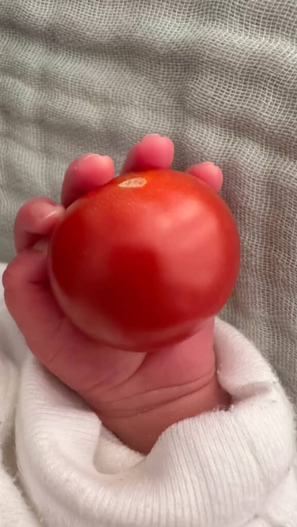 本当に同じサイズ