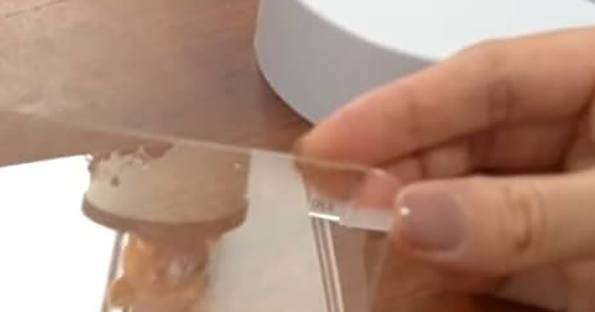 絵描きが、ダイソーの220円商品にペンを走らせると……「なるほどこうなったか！」　完成したアイテムに「すばらしいアイデア」「なんて美しい」（1/2） | ライフスタイル ねとらぼ