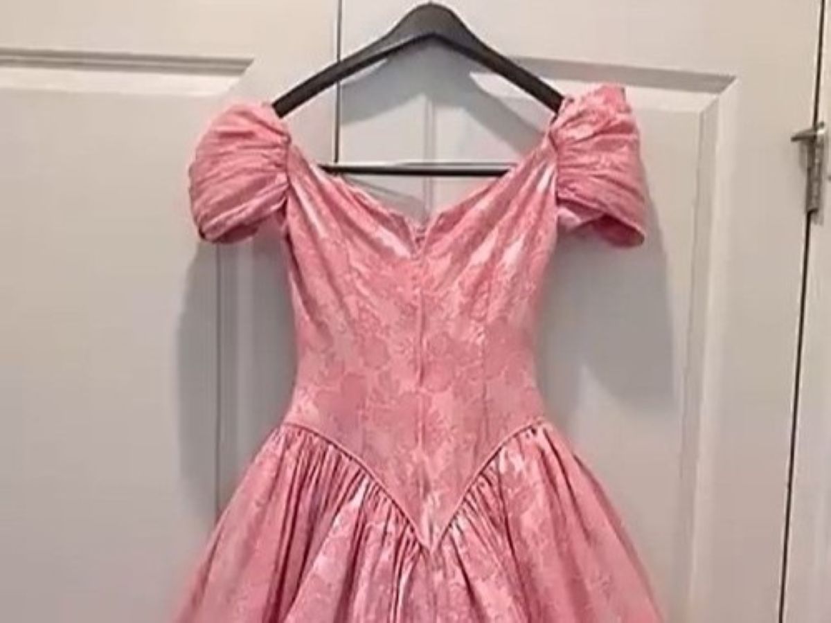 ママ「義理娘のためにがんばりました！」　ドレスを“小学校の裁縫セット”でリメイクしたら……「ラプンツェルみたい」「最高のお母さん」と反響（1/3） | ライフスタイル ねとらぼ