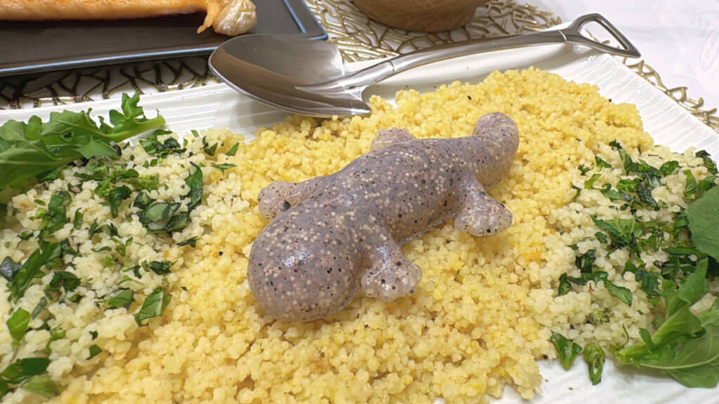 削って作ったわけでなく、既製品としてこの形で売られている「オオサンショウウオこんにゃく」