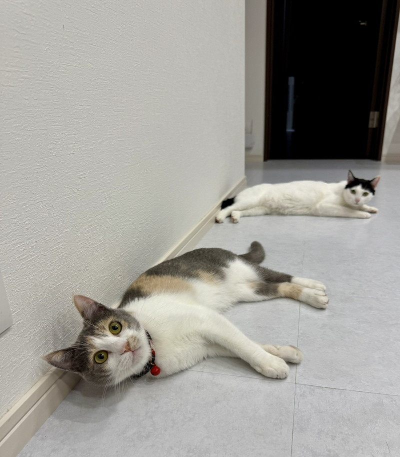 夜の運動会前にひとやすみ
