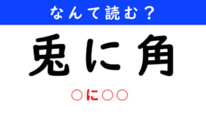 兎に角