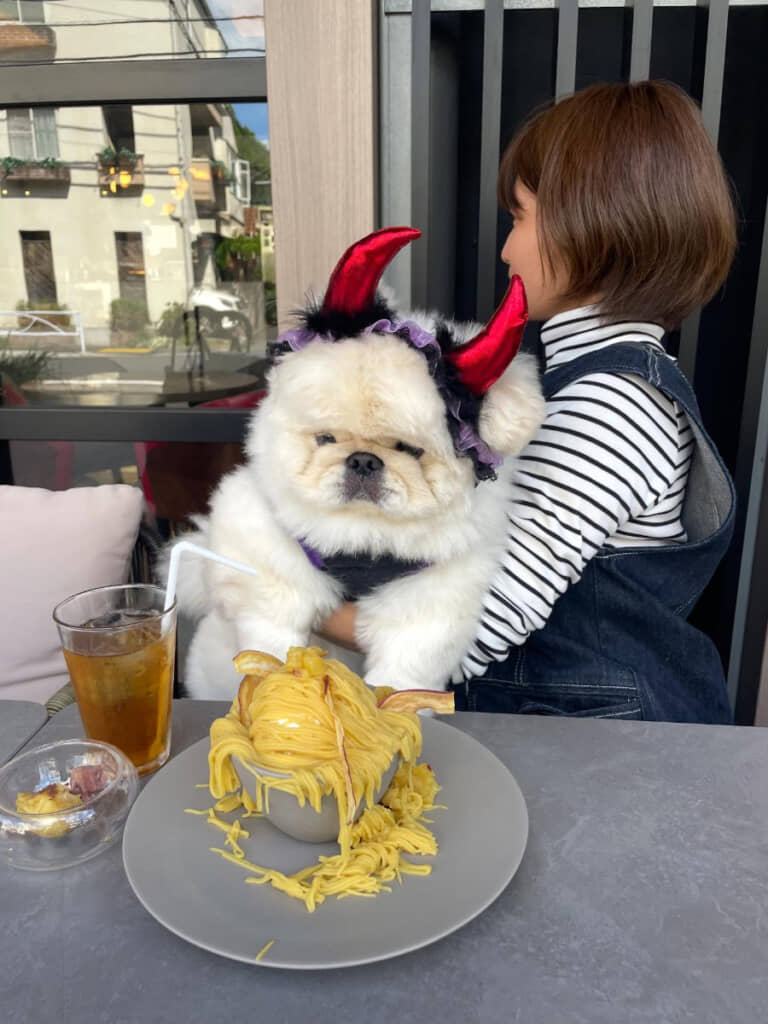 思った以上に大きい……！