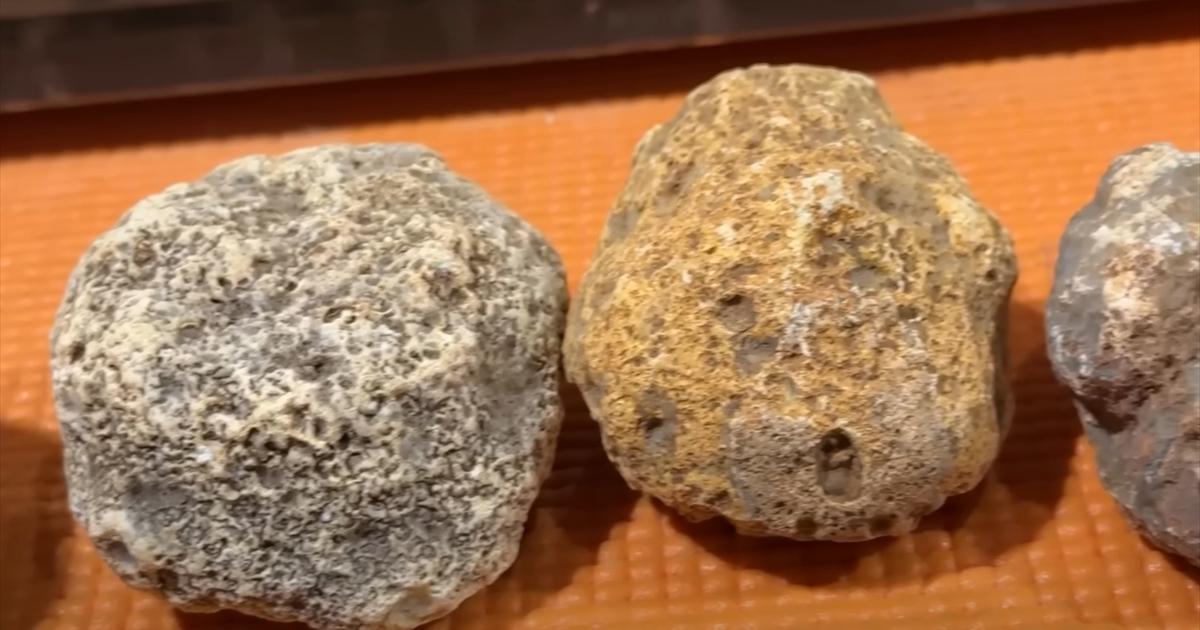 ただの石 どこにでもありそうな“ただの石”→割ってみたら……「ああ、本当に美しい