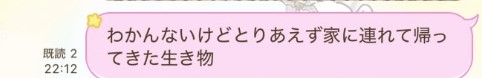 わからないまま動物を連れて帰ってきたAmiさん