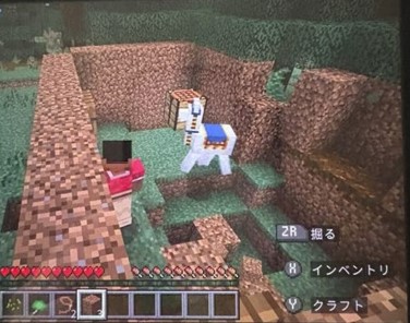 連れて帰ってきてしまった商人のラマ