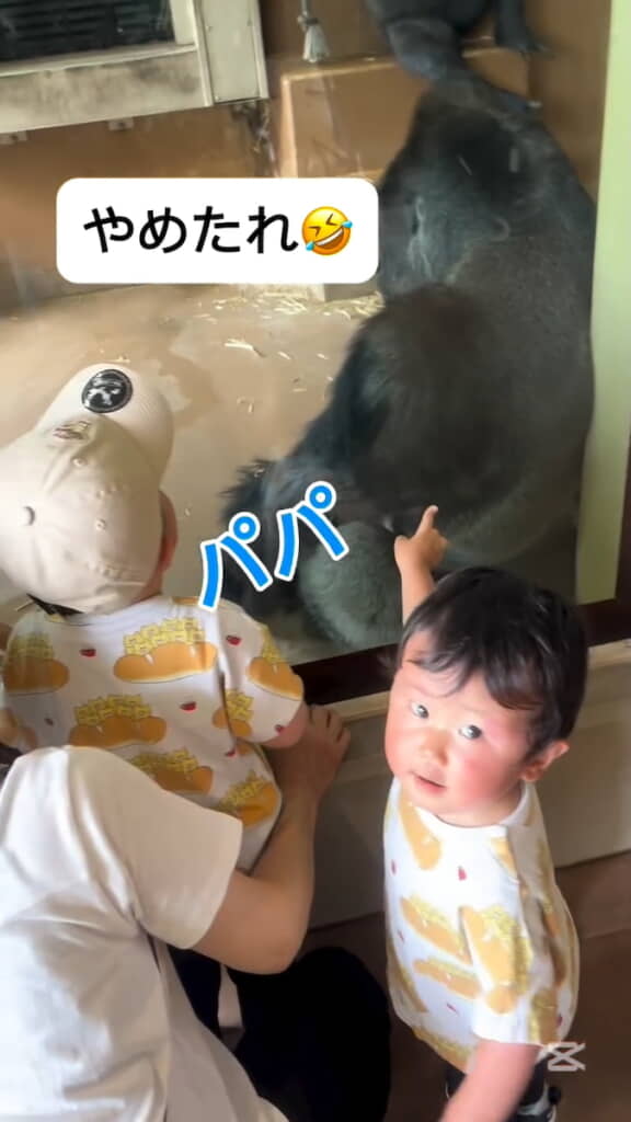 （パパだよね……？）