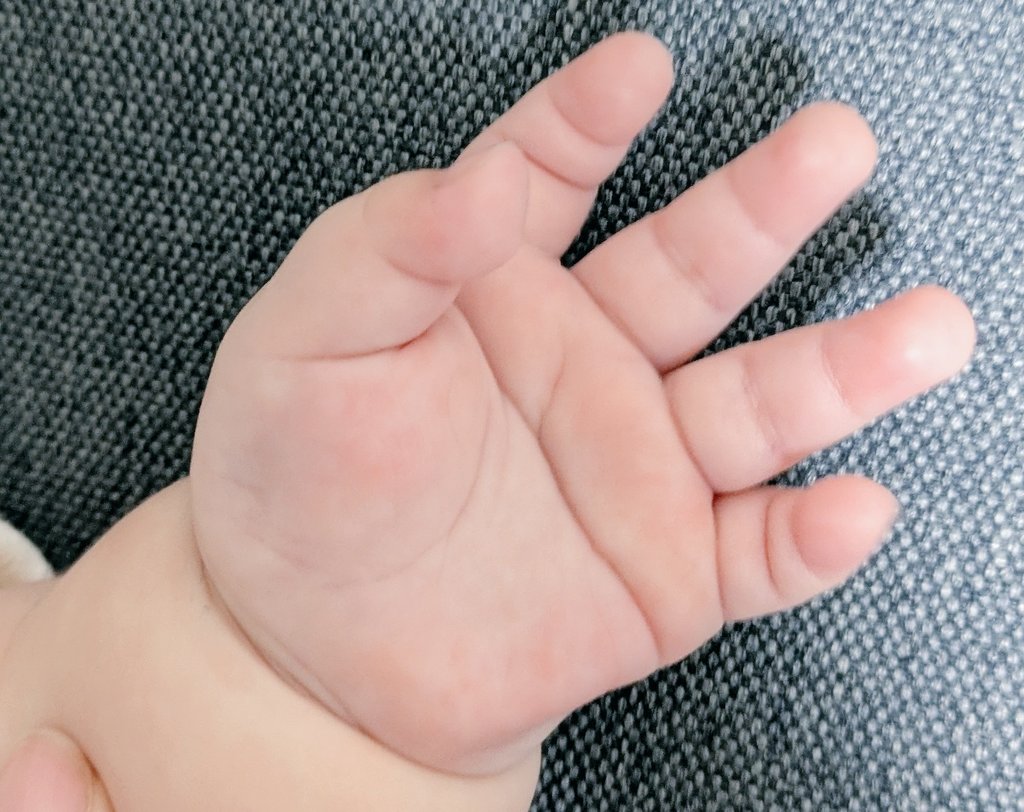 左手には逆になった「て」