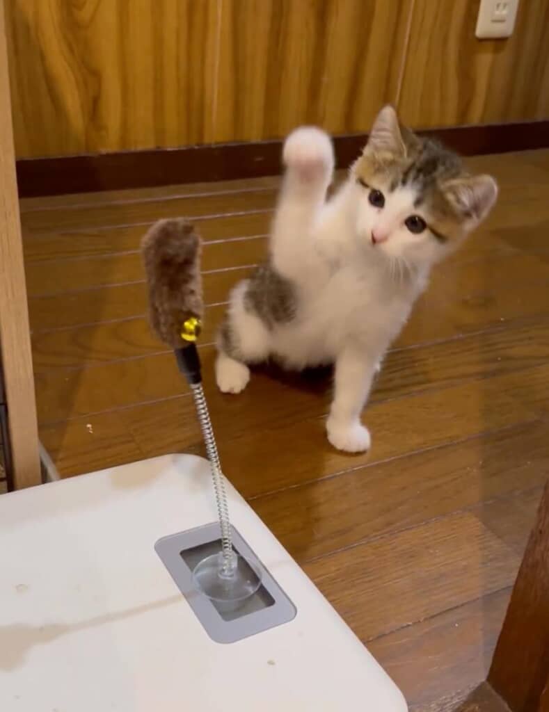 まさかの空振り！