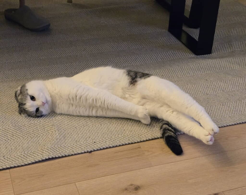 セ……柿の種ちゃん！