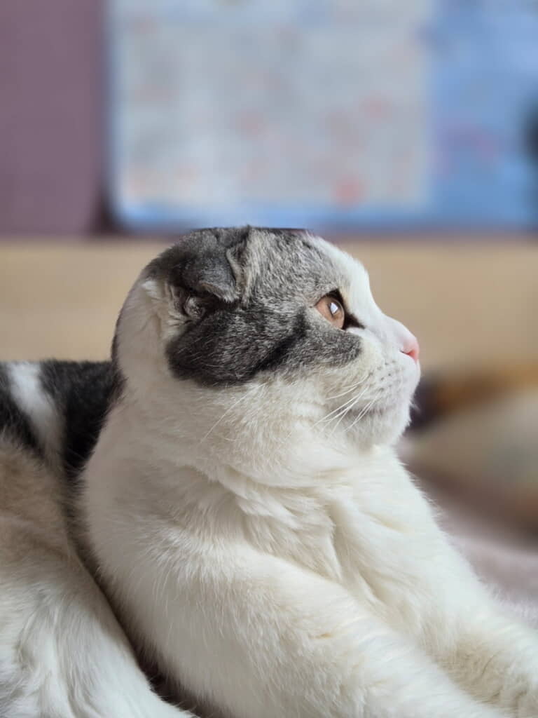 頭のまっすぐラインも魅力的