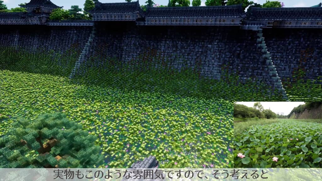 Xで反響の多かった「蓮池濠」