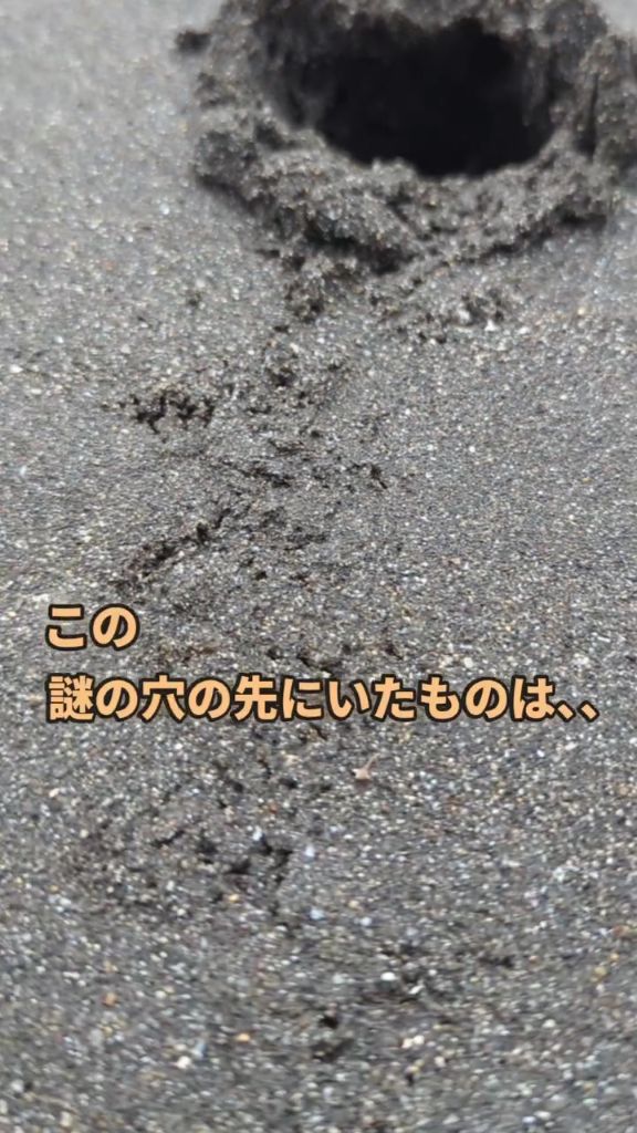 足跡が残っている