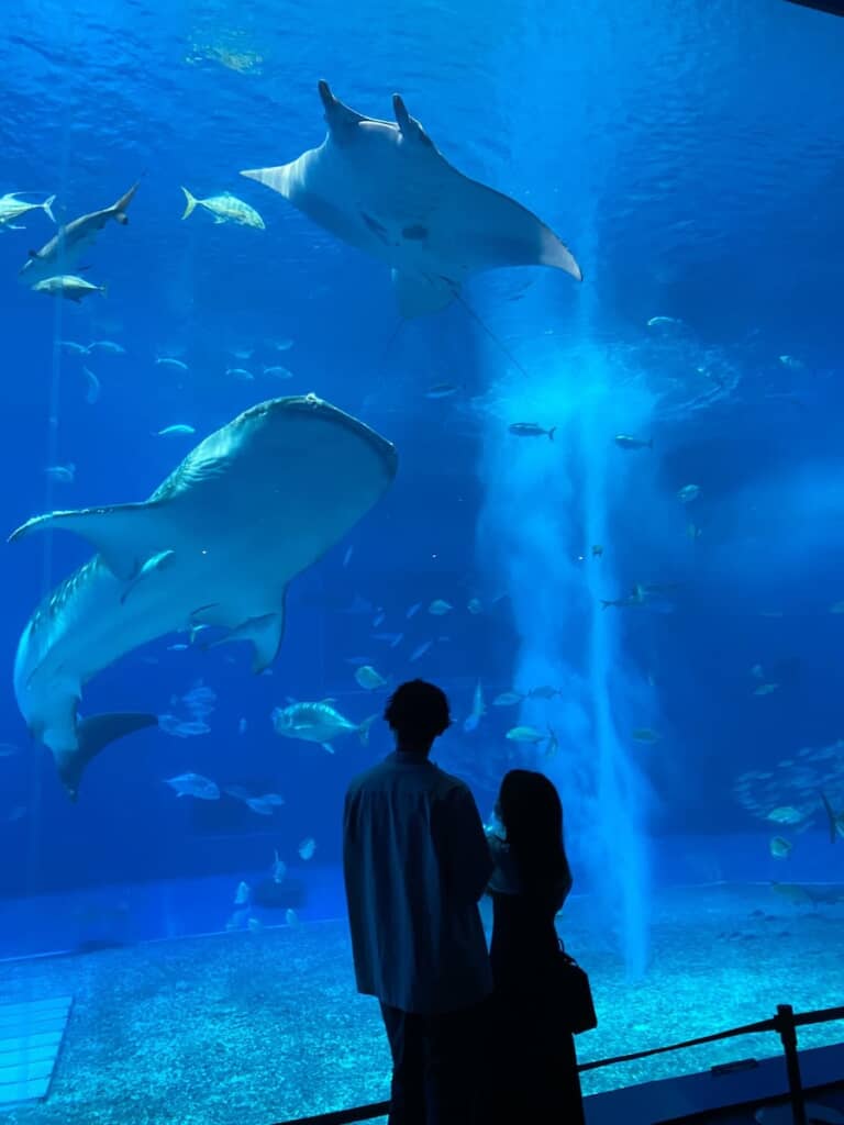 まるで絵のよう